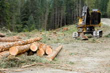 logging-operation